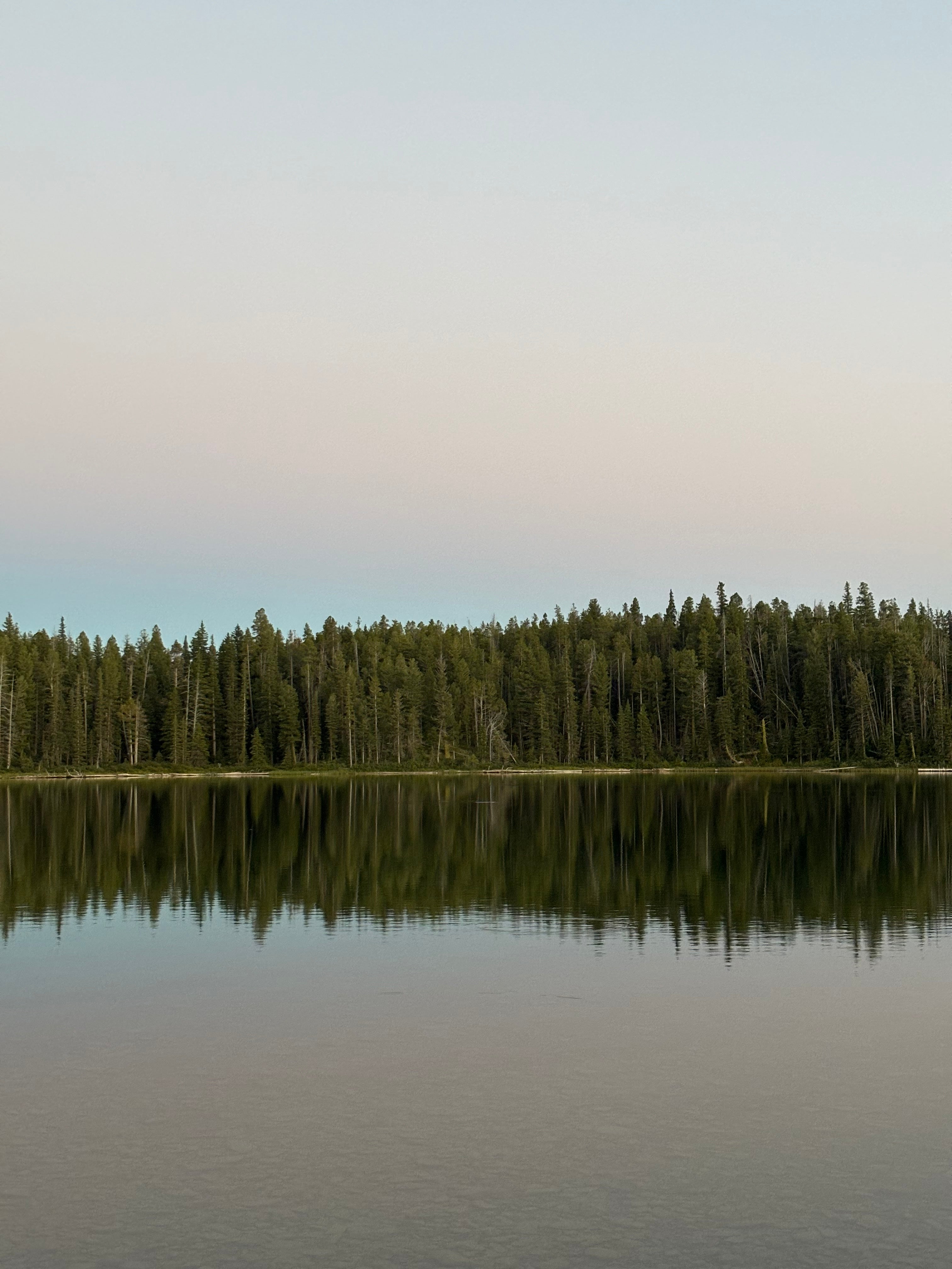 Forest_and_lake.jpg