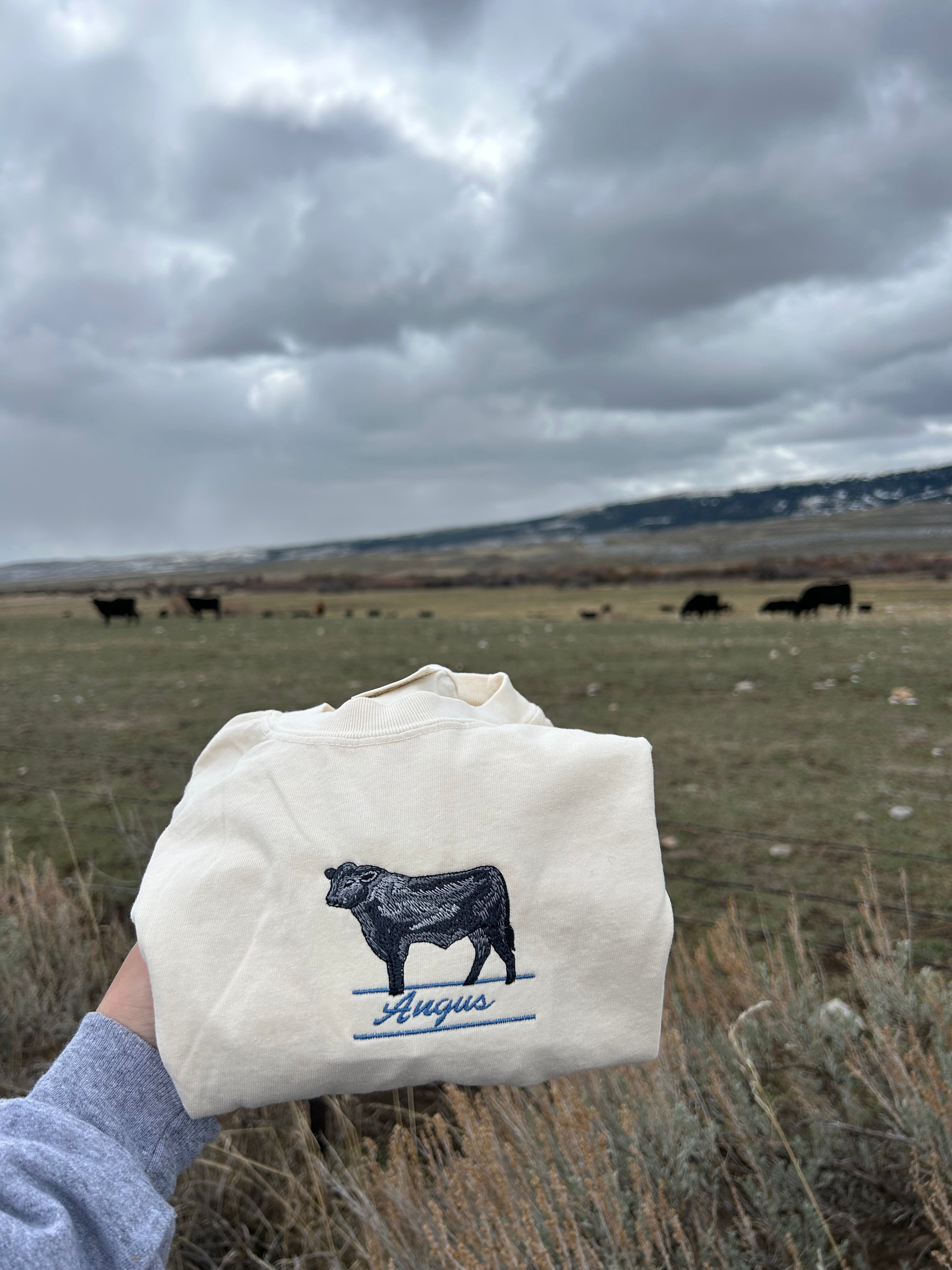 Black Angus Bull Tee